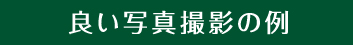 良い写真撮影の例